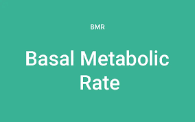 accurate bmr calculator - basal metabolism calculator