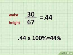 height to waist ratio calculator - waist to height calculator