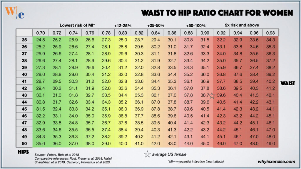 Waist To Hip Calculator Waist And Hip Ratio Calculator