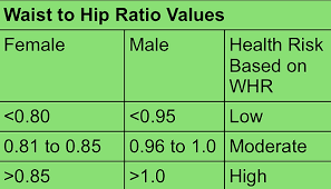 waist to hip calculator - waist and hip ratio calculator